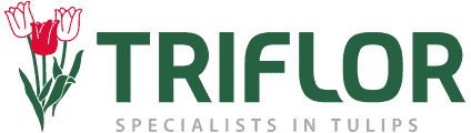 Triflor logo